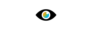 Eyeball Icon